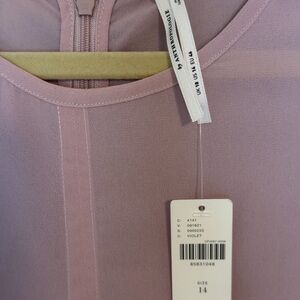 Rose Pink Sheer Dress by Anthropology.